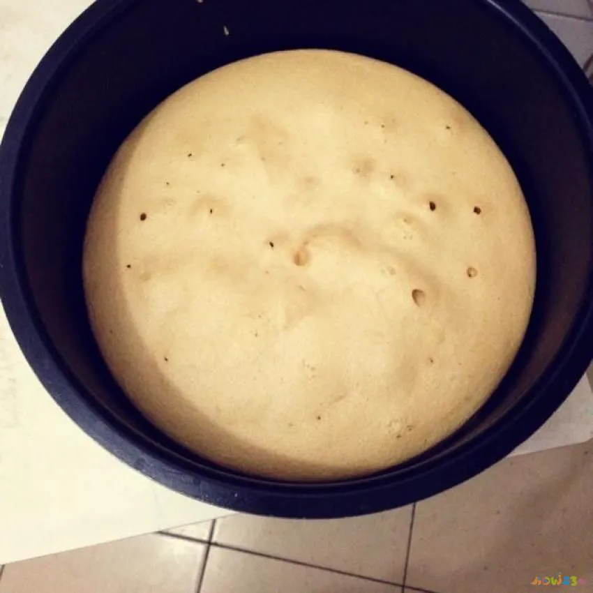 葱花烙饼的家常做法_葱花千层饼的家常做法_家常葱花饼的做法