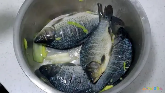 清炖小鲫鱼豆腐汤的家常做法（鲫鱼豆腐汤的家常做法）(2)