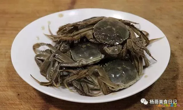 姜葱汁的家常做法_姜葱汁的做法视频_怎样做葱姜汁