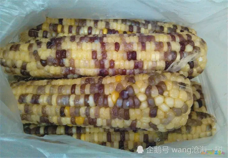 家常汤类_简单的家常汤类_家常汤类菜谱大全