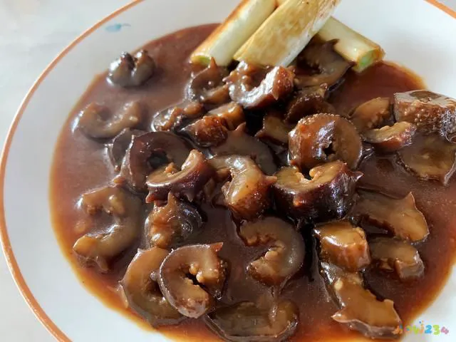 葱烧海参的家常做法_葱烧海参的家常做法 大全_家常葱烧海参