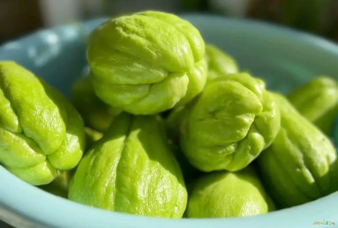 南瓜家常做法_芝士焗南瓜家常做法_蜜汁南瓜家常做法