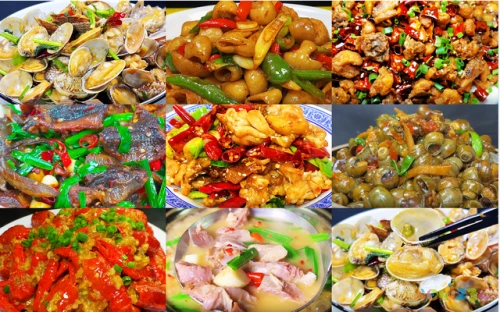 家常肉菜做法大全_蒜苗炒肉做法大全家常_鸡脯肉做法大全家常