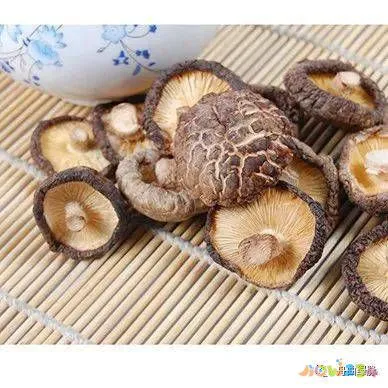 猴头菇的家常做法_鲍鱼菇的家常做法_滑菇小酥肉的家常做法