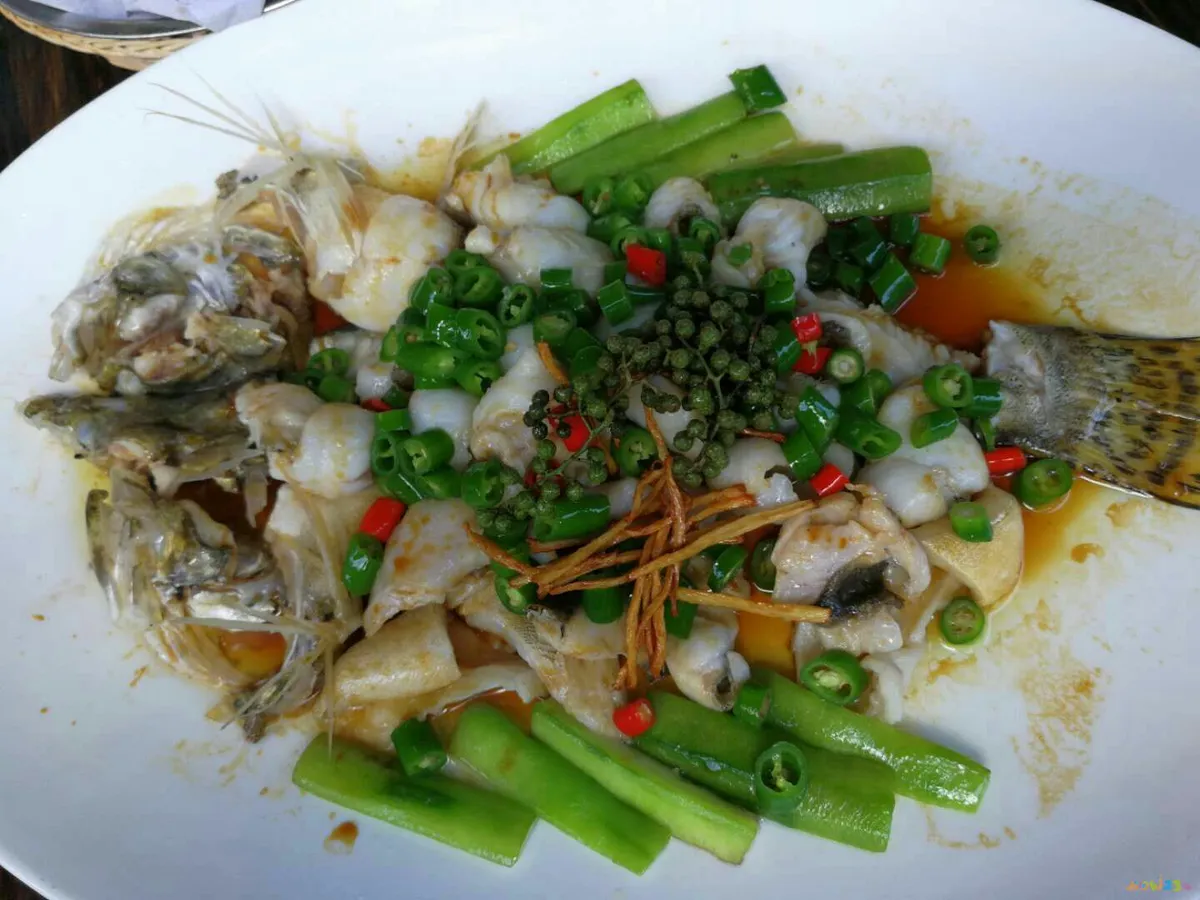 海鲈鱼做法大全家常_清蒸鲈鱼的家常做法_家常梭鲈鱼的做法