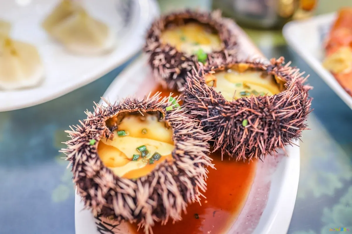 蛤蜊丝瓜汤的做法_海参鸡脚汤做法大全家常做法_蛤蜊疙瘩汤的家常做法