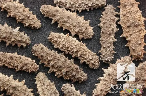 海参羹的做法大全