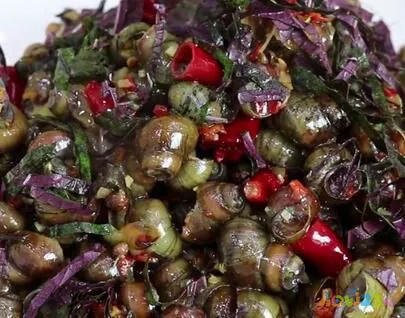 螺丝肉的做法大全家常_家常螺丝的做法大全_螺丝菜的家常做法