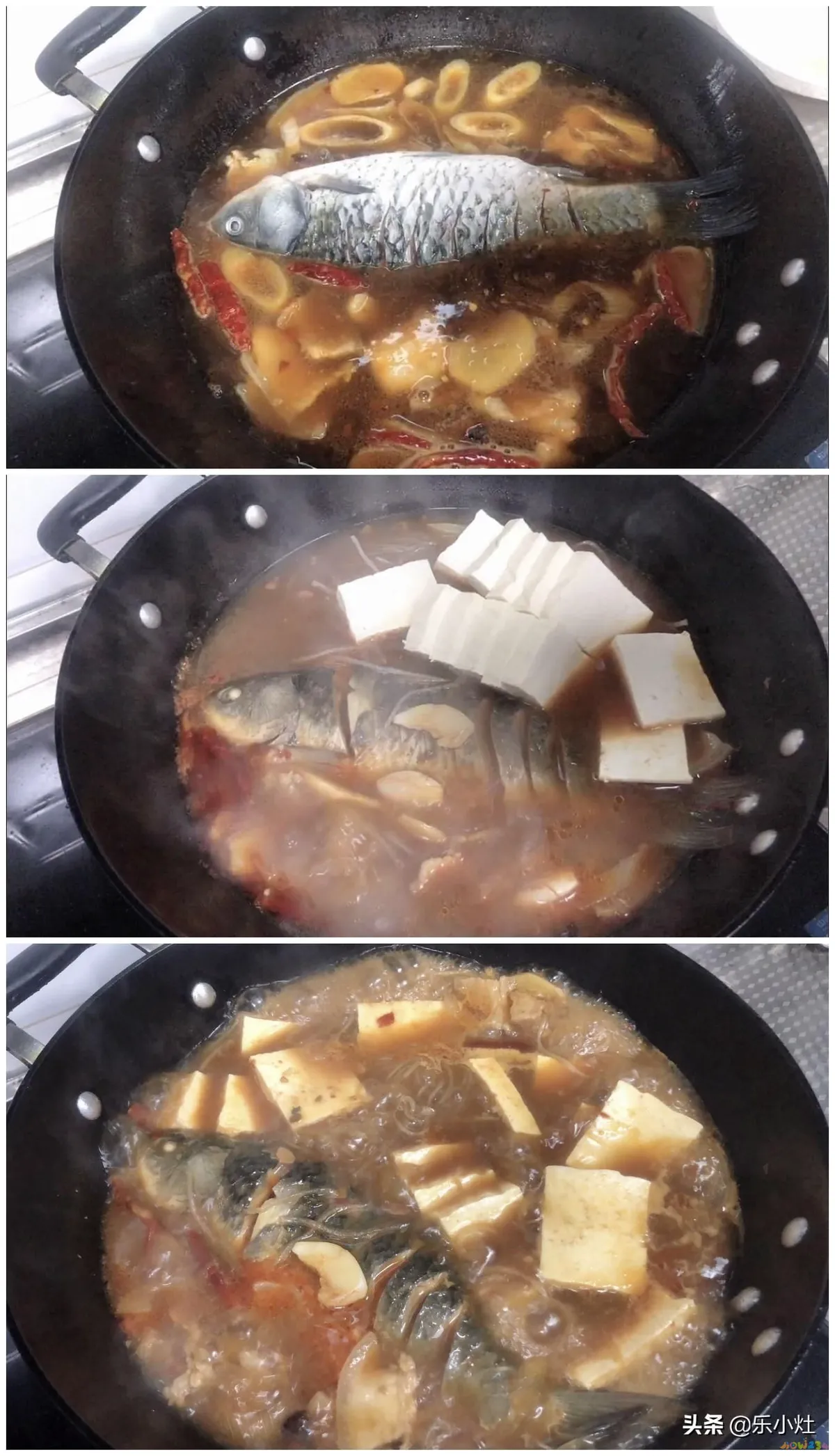 怎么炖鱼好吃家常做法_好吃家常做法炖鱼视频_家常炖鱼的做法和步骤窍门