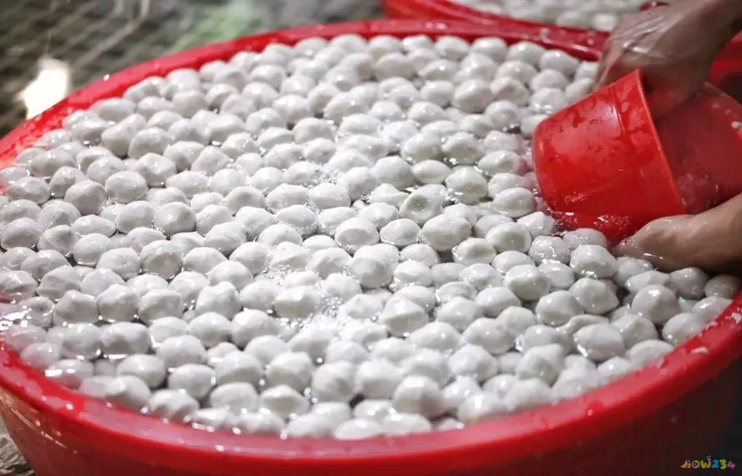 家常做法梅花参怎么做_梅花参烹制_梅花参的家常做法