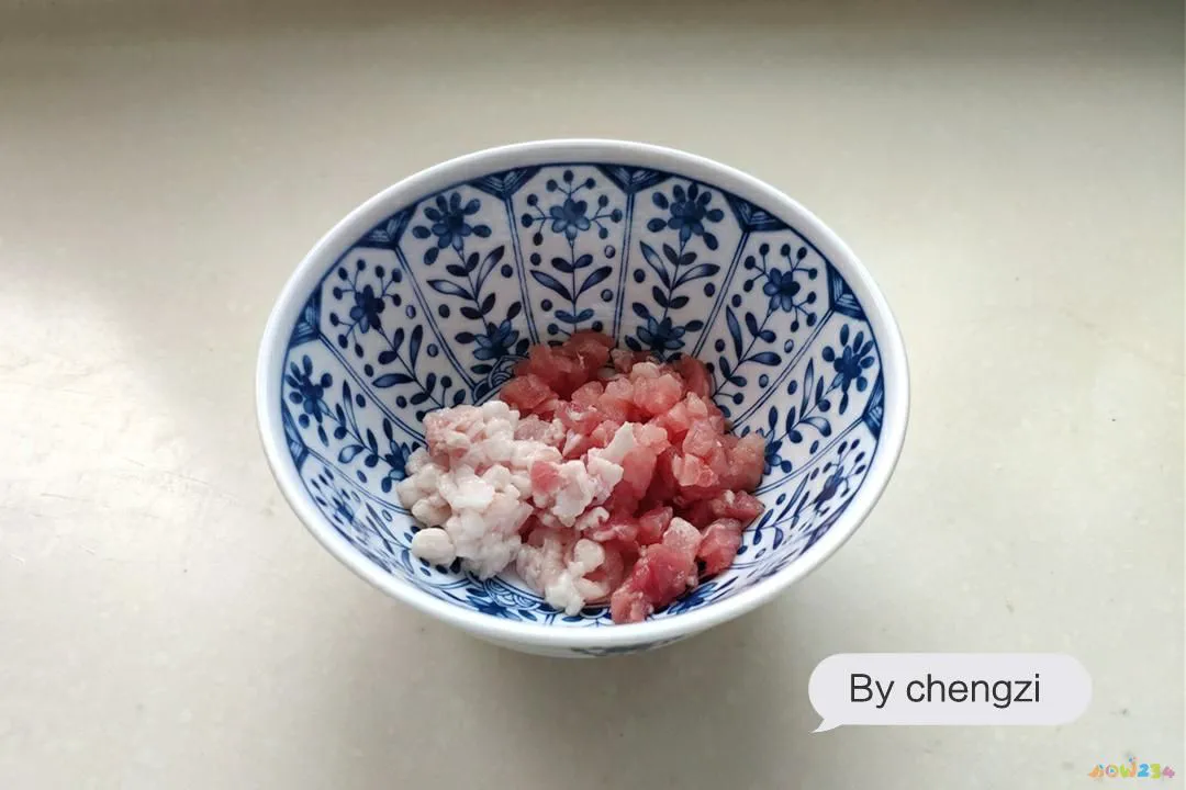 蒜烧茄子的家常做法视频_家常蒜茄子的做法_蒜烧茄子的家常做法