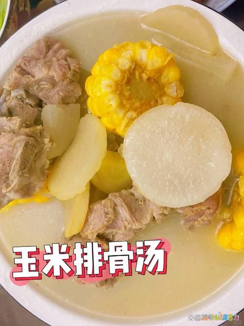 萝卜炖排骨的家常做法_萝卜炖排骨的做法最简单_萝卜炖排骨家常做法窍门