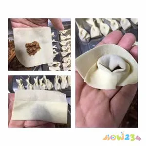 家常馄饨的做法 步骤3