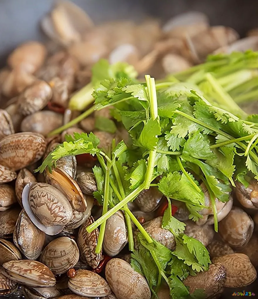 超好吃家常菜_好吃易做的家常菜做法_好吃家常菜做法窍门