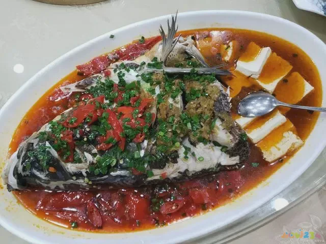 豆腐鱼头汤的做法大全_鱼头豆腐汤的家常做法_豆腐家常鱼头汤做法大全