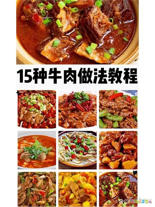 牛肉家常红烧做法大全_家常红烧牛肉_牛肉做法红烧
