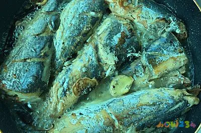 红烧鲅鱼块的家常做法_家常红烧做法鲅鱼怎么做_家庭红烧鲅鱼做法