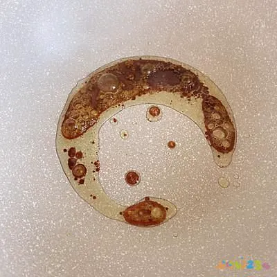 家庭酱猪蹄儿制作方法窍门_酱猪蹄的家常做法_家常酱猪蹄的做法