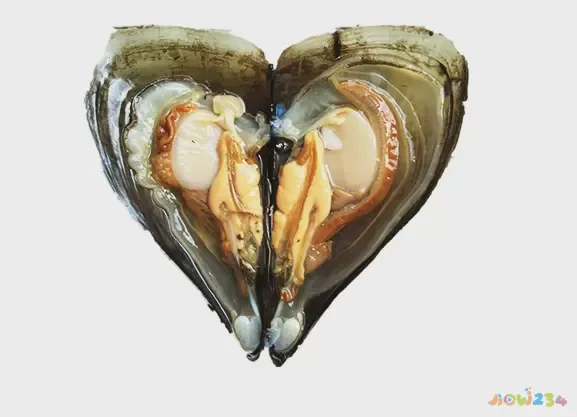 带子的家常做法_带子咋做_带子咋做好吃