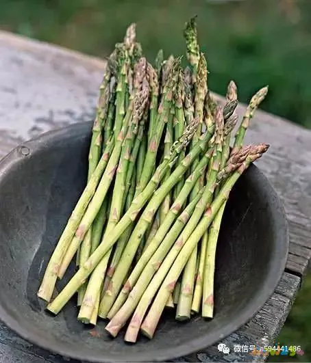 炒蒜苔炒肉的家常做法_炒刀削面的家常做法_炒丝瓜炒肉的家常做法