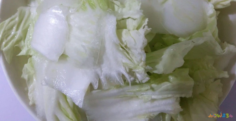 猪肉家常菜100例_猪肉家常菜有几种做法_家常菜 猪肉