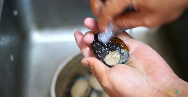 葱烧海参的家常做法_葱烧海参的做法 家常做法视_葱烧海参家常做法视频