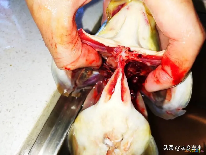 炖三道鳞的家常做法图_三道鳞鱼的家常做法_鳞炸鲫鱼做法大全家常