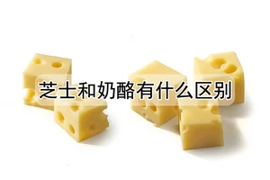 芝士和奶酪有什么区别