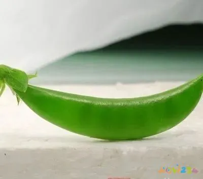 豌豆的做法视频教程_家常豌豆大全做法视频_豌豆的做法大全家常