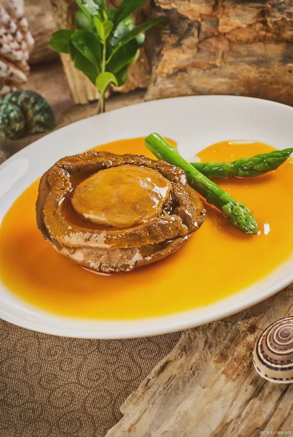 家常鲍鱼做法视频教程_家常鲍鱼做法大全家常_鲍鱼的家常做法