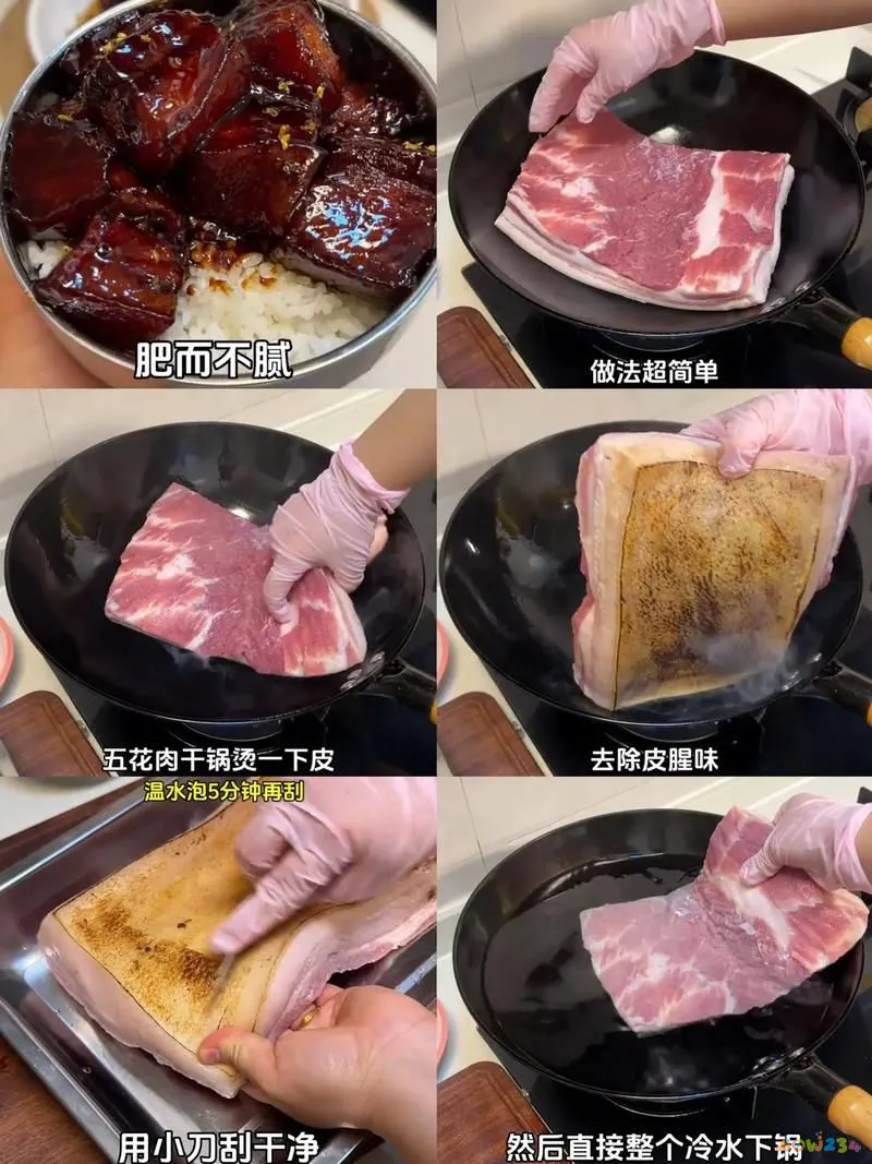 家常红烧肉做法排行榜第一名_家常红烧肉做法教程_红烧肉的家常做法