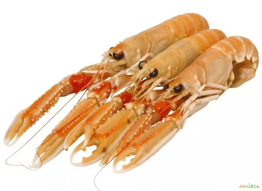 梭鲈怎么烧_梭鲈鱼怎么做好吃_家常梭鲈鱼的做法