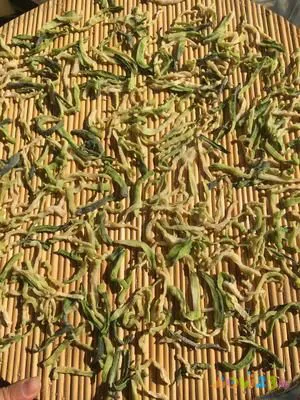 万能下饭菜腌萝卜干的做法 步骤6