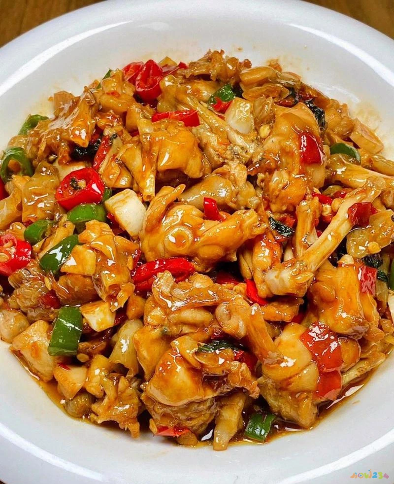 小四川家常菜_四川小菜的做法大全集_做四川家常菜的小向