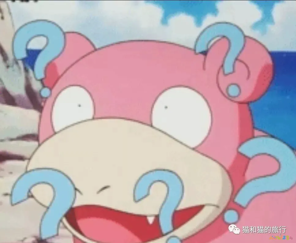 梭鲈怎么烧_家常梭鲈鱼的做法_梭鲈鱼怎么做好吃