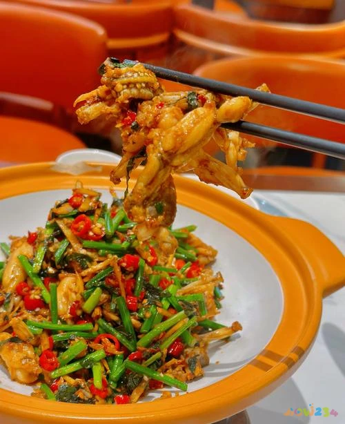 做四川家常菜的小向_小四川家常菜_四川小菜的做法大全集