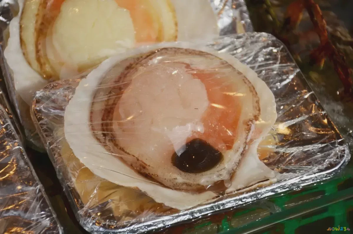 家常鲍鱼做法大全家常_家常鲍鱼做法视频教程_鲍鱼的家常做法