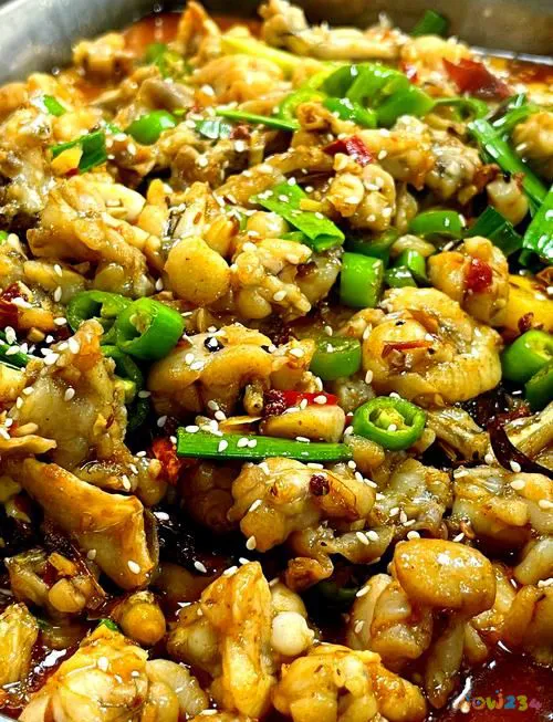 小四川家常菜_四川小菜的做法大全集_做四川家常菜的小向