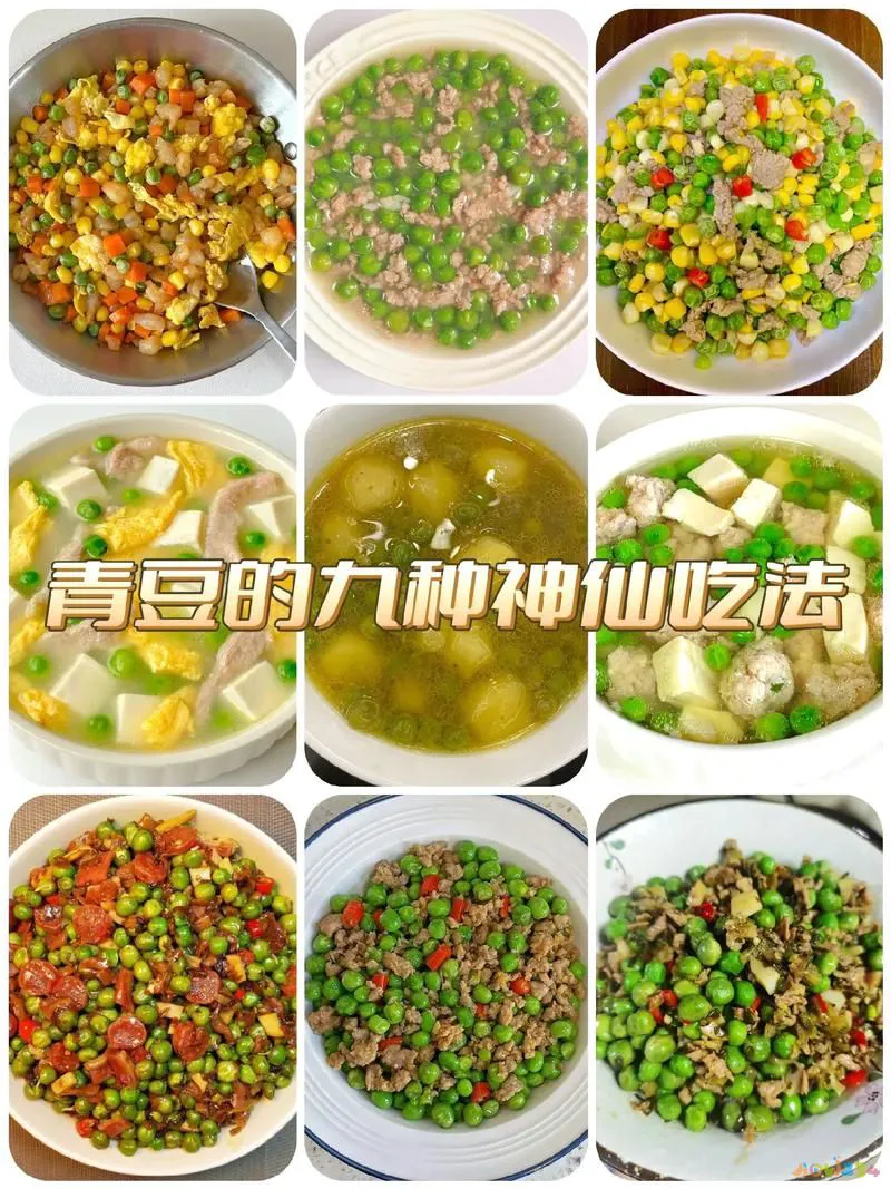 家常豌豆大全做法窍门_家常豌豆大全做法简单_豌豆的做法大全家常