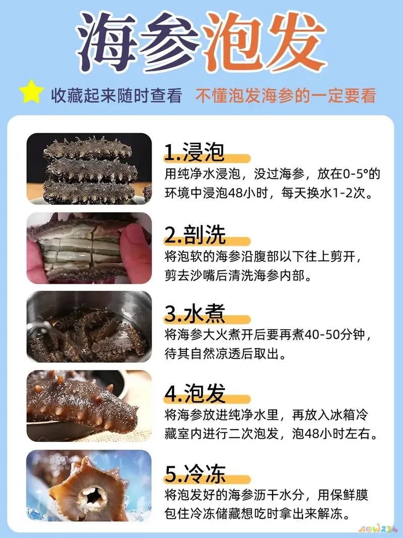 葱烧海参家常做法_10种简单海参家常做法_海参的家常做法