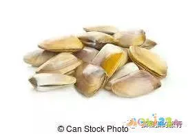 梭鲈怎么烧_梭鲈鱼怎么做好吃_家常梭鲈鱼的做法