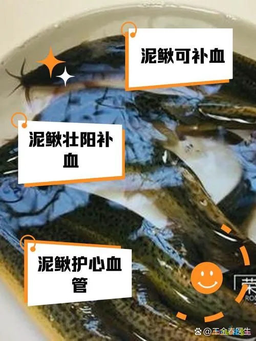 泥鳅的做法大全家常_家常泥鳅大全做法图片_家常泥鳅怎么做好吃