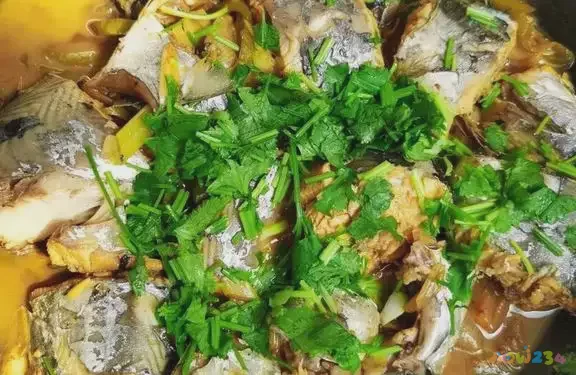 鲅鱼汤的做法大全窍门_家常鲅鱼汤_汤做鲅鱼