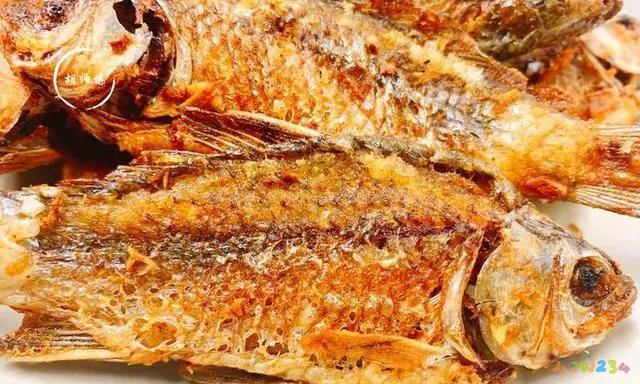 家常炖鲫鱼的方法_炖家常鲫鱼做法视频_炖鲫鱼的家常做法