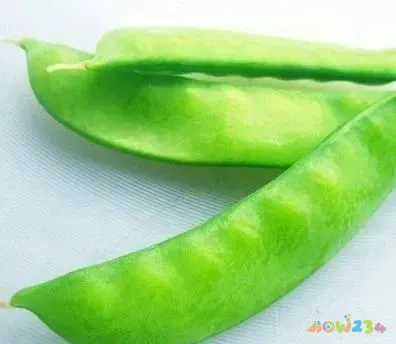 豌豆的做法视频教程_豌豆的做法大全家常_家常豌豆大全做法视频