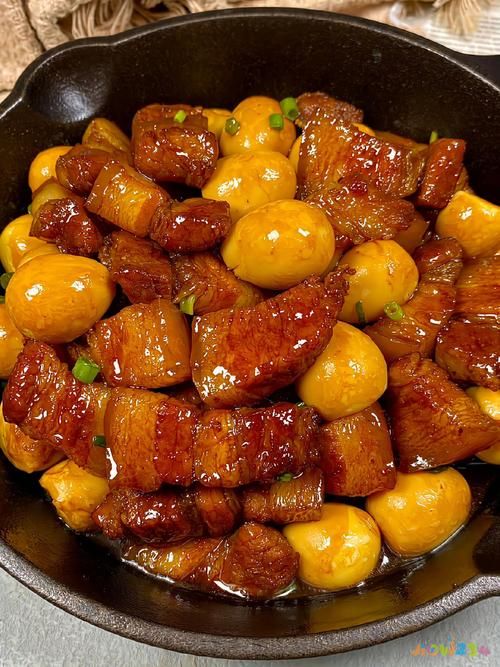 家常红烧肉做法详解_家常红烧肉做法简单的_红烧肉的家常做法