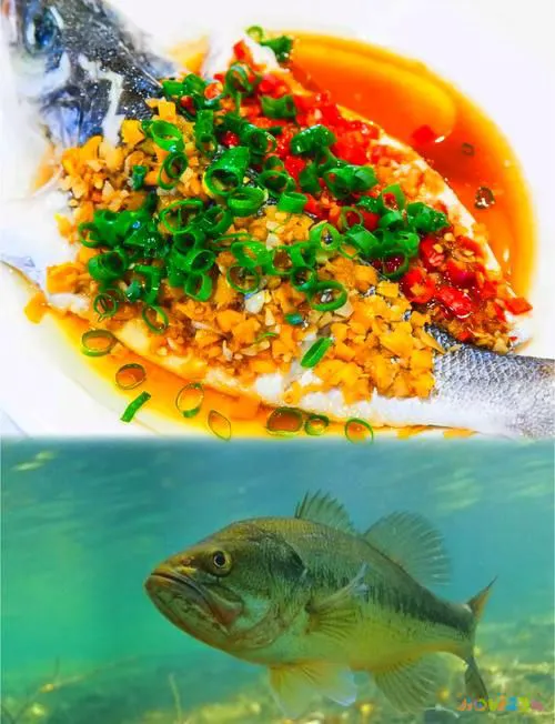 怎样涮鱼锅怎么涮鱼锅_涮鱼锅的家常做法_涮鱼锅的配菜