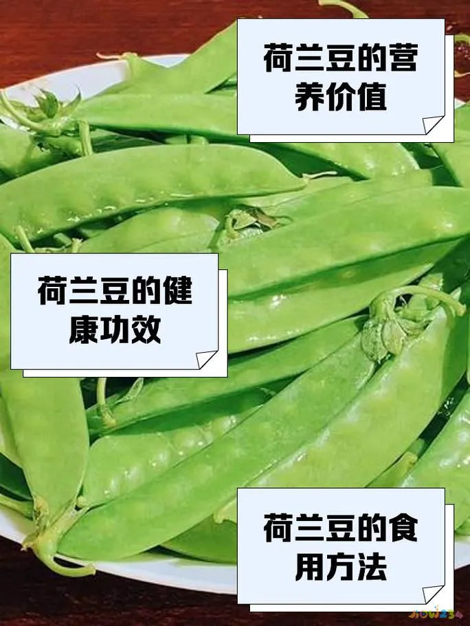 家常豌豆大全做法视频_豌豆的做法大全家常_豌豆的做法视频教程