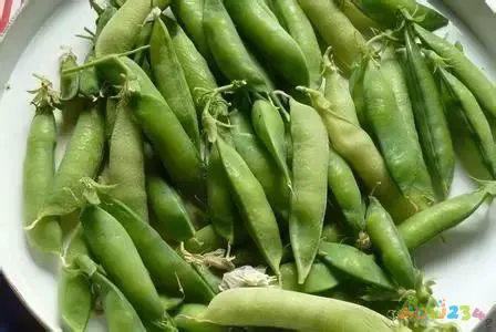 家常豌豆大全做法窍门_家常豌豆大全做法简单_豌豆的做法大全家常