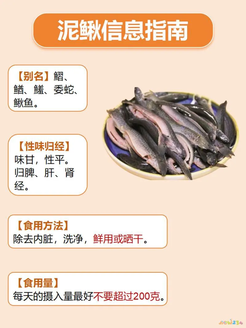 家常泥鳅大全做法图片_泥鳅的做法大全家常_家常泥鳅怎么做好吃